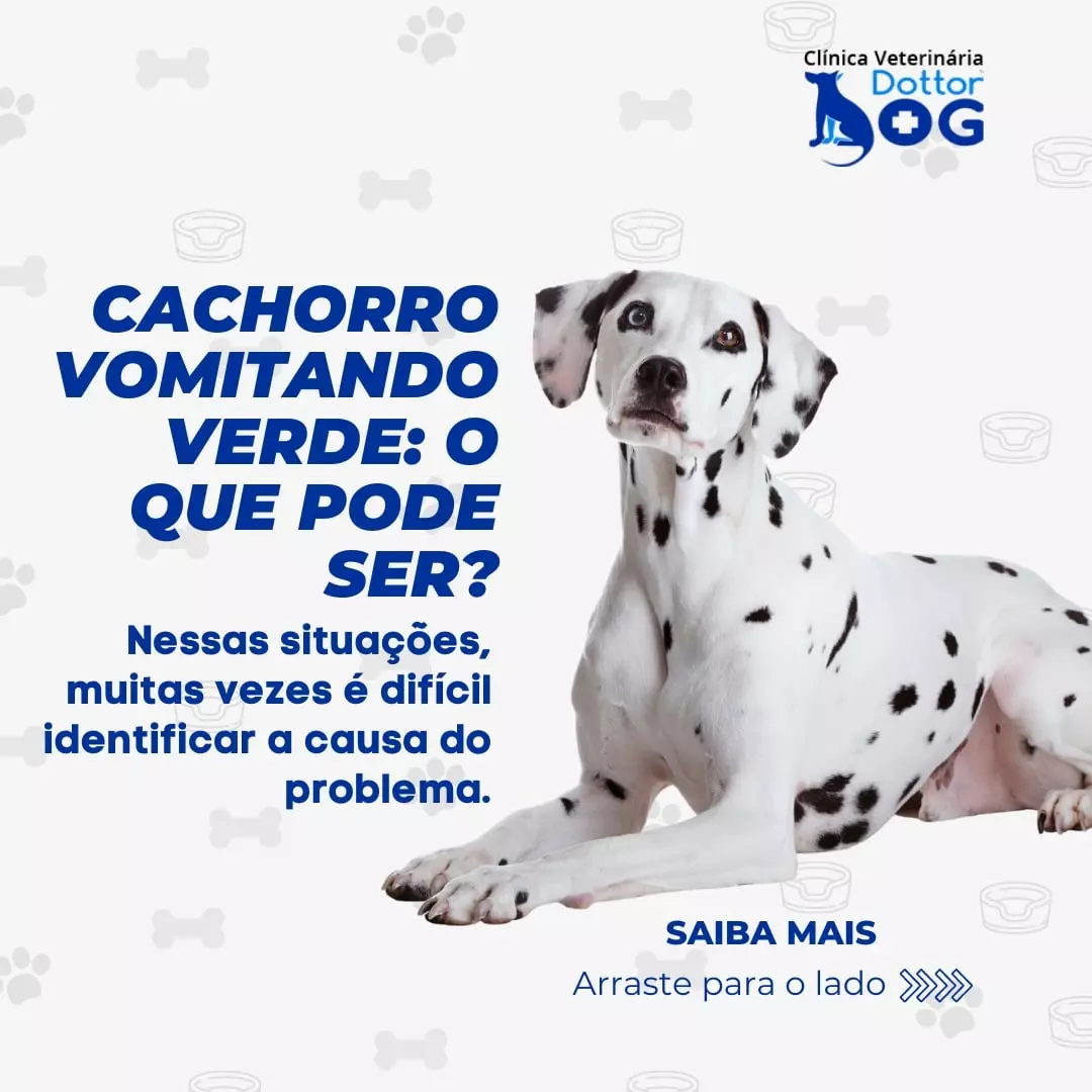 MEU CACHORRO ESTÁ VOMITANDO VERDE...SERÁ QUE É GRAVE?